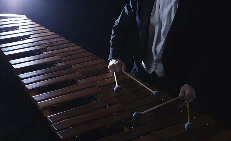 Person playing percussion instrument.