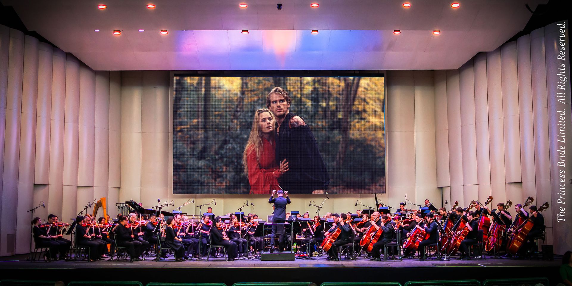 <em>The Princess Bride</em> in Concert